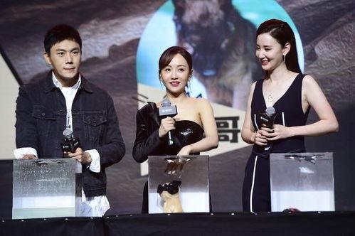 娱乐圈明星吃瓜合集小说,揭秘幕后真相